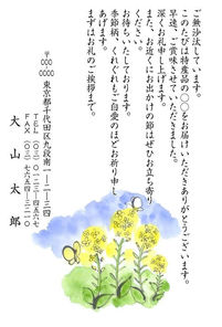 春風　菜の花