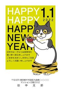 HAPPY NEW YEAR 虎に変装した猫