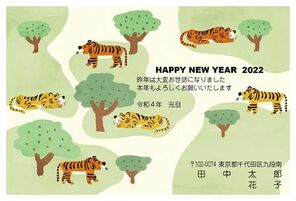 Happy NEW Year　トラのパーク　A0634