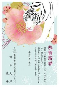 恭賀新春　白い虎と牡丹　A0507