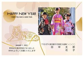 HAPPY NEW YEAR 2022　横たわる虎　写真入り A0580