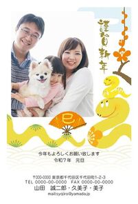 年賀状　へび年　写真入り　白バック　謹賀新年